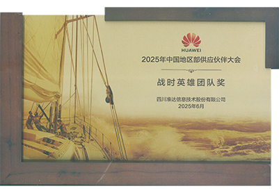 2025年華為中國地區(qū)部戰(zhàn)時(shí)英雄團(tuán)隊(duì)獎(jiǎng)